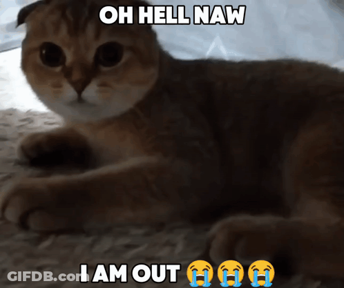 Cat Laying Down Oh Hell Naw GIF