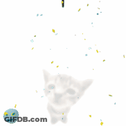 Cat Laying Down On Blanket GIF