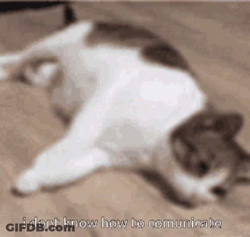 Cat Laying Down Saying I Dont Know How To Communicate GIF