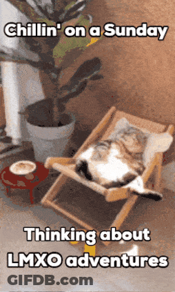 Cat Laying In Chair Chillin On A Sunday Thinking About LMXO Adventures GIF