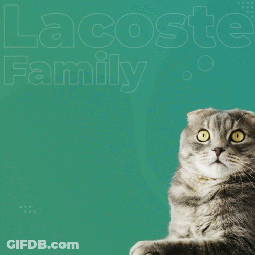 Cat Laying In Front Of Lacoste Family Logo GIF