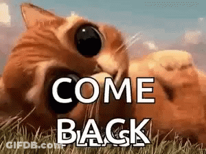 Cat Laying In Grass Saying Come Back GIF