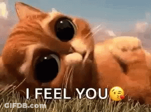 Cat Laying In Grass Saying I Feel You GIF