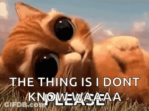 Cat Laying In Grass Saying The Thing Is I Dont Know GIF
