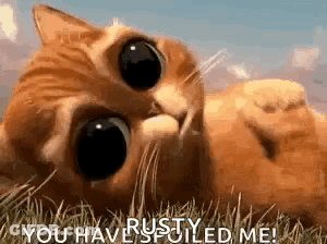 Cat Laying In Grass Saying You Have Spoiled Me GIF