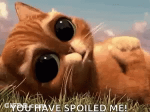 Cat Laying In Grass Saying You Have Spoiled Me GIF