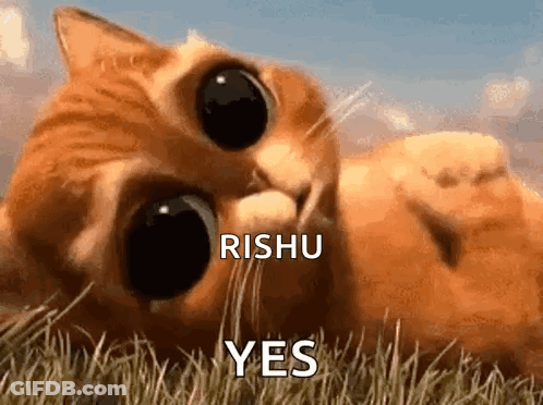 Cat Laying In Grass With Rishu Yes GIF