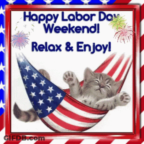 Cat Laying In Hammock Happy Labor Day Weekend Relax And Enjoy GIF