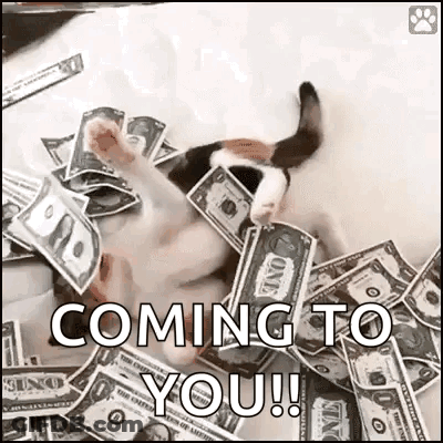 Cat Laying In Pile Of Money Coming To You GIF