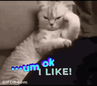 Cat Laying Lap Blue Um Ok I Like GIF