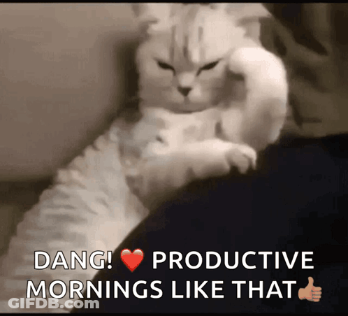 Cat Laying Lap Dang Productive Mornings Like That GIF