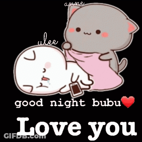 Cat Laying On Another Cat Good Night Bubu Love You GIF