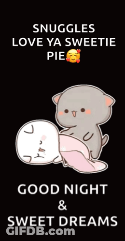 Cat Laying On Another Cat Good Night Sweet Dreams GIF