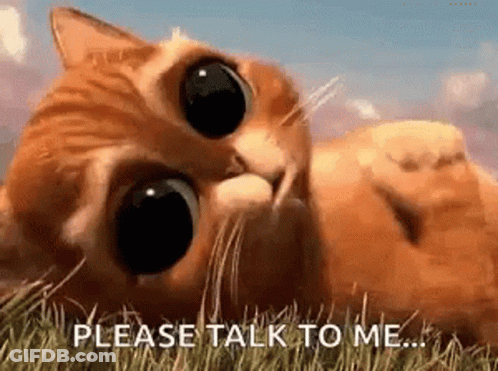 Cat Laying On Back Asking To Talk GIF
