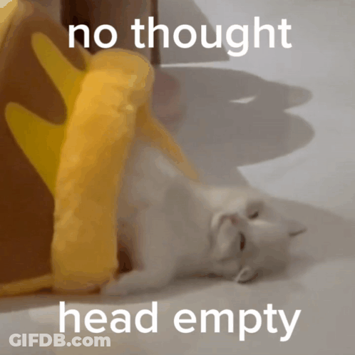 Cat Laying On Back No Thought Head Empty GIF
