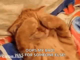Cat Laying On Back Oops My Bad GIF