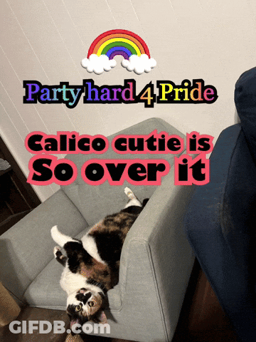 Cat Laying On Back Party Hard 4 Pride GIF