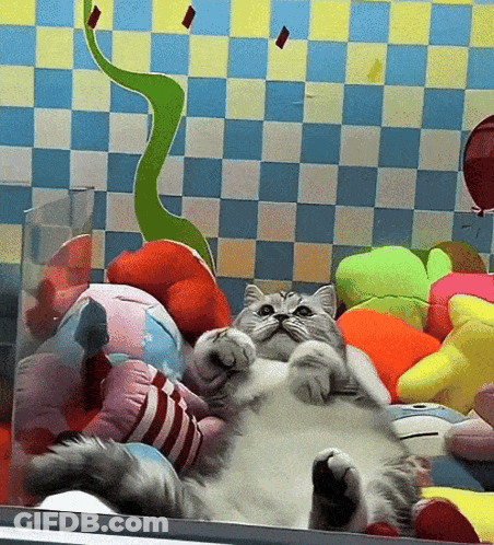 Cat Laying On Back Surrounded By Stuffed Animals And Balloons GIF