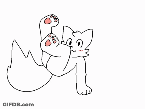 Cat Laying On Back With Paws Outstretched GIF