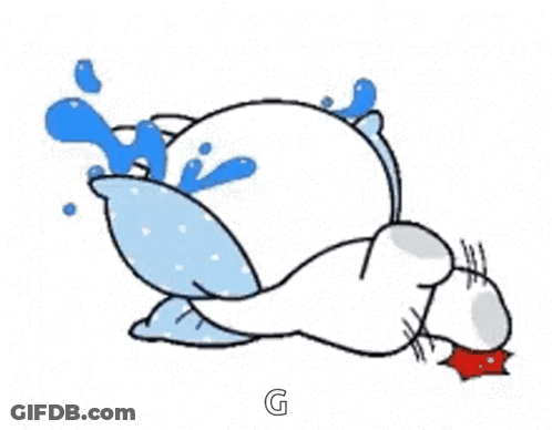 Cat Laying On Back With Pillow On Head GIF