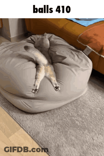 Cat Laying On Bean Bag With Balls 410 GIF