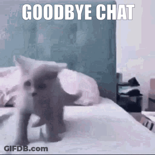 Cat Laying On Bed Goodbye Chat GIF