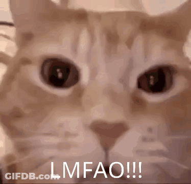 Cat Laying On Bed Lmfao!!! GIF