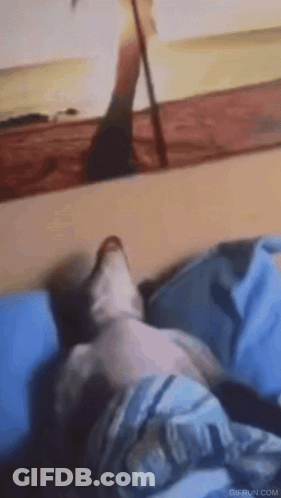 Cat Laying On Bed Looking At Mirror GIF