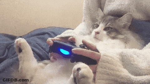 Cat Laying On Bed Playing Video Game GIF