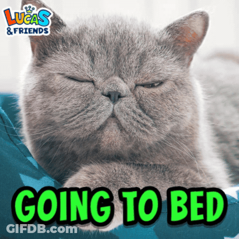 Cat Laying On Bed Saying Going To Bed GIF