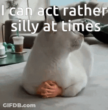Cat Laying On Bed Saying I Can Act Rather Silly At Times GIF