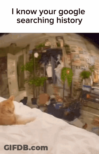 Cat Laying On Bed Saying I Know Your Google Searching History GIF