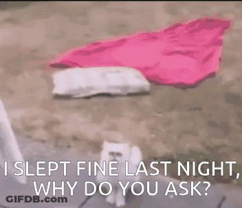 Cat Laying On Bed Saying I Slept Fine Last Night GIF