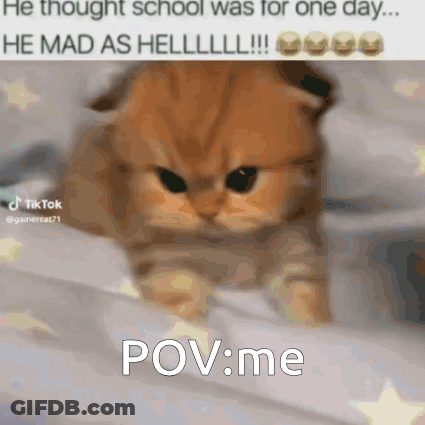 Cat Laying On Bed Saying School Was For One Day GIF