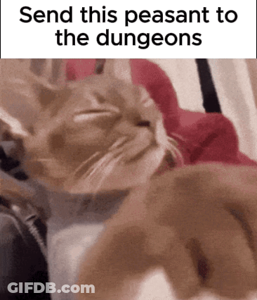 Cat Laying On Bed Send This Peasant To The Dungeons GIF