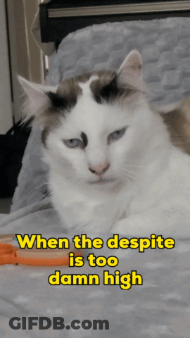 Cat Laying On Bed When The Despite Is Too Damn High GIF
