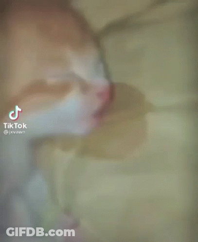 Cat Laying On Bed With TikTok Watermark GIF