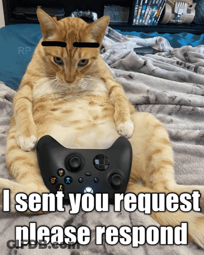 Cat Laying On Bed With Xbox Controller Saying I Sent You Request Please Respond GIF
