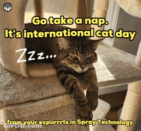 Cat Laying On Cat Tree Saying Go Take A Nap International Cat Day GIF