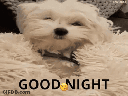 Cat Laying On Couch Goodnight Human Gay Cat Daddy GIF