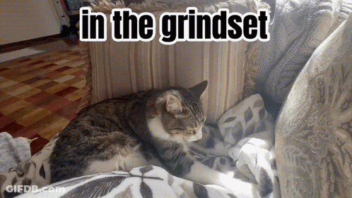 Cat Laying On Couch In The Grindset GIF
