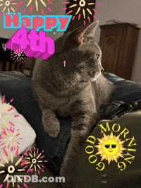 Cat Laying On Couch Saying Happy 4Th GIF
