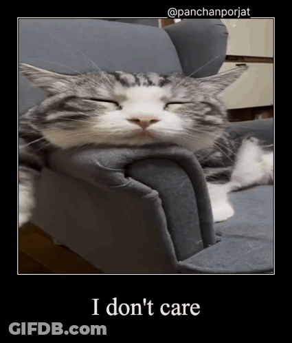 Cat Laying On Couch Saying I Don't Care GIF