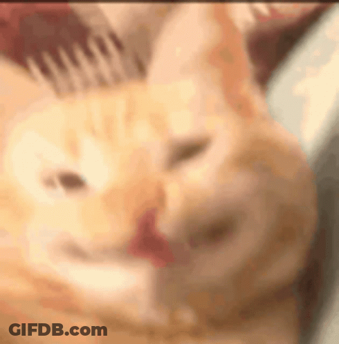 Cat Laying On Couch With Tongue Out GIF