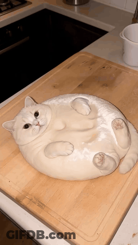 Cat Laying On Cutting Board GIF
