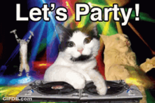 Cat Laying On DJ Mixer Saying Let's Party GIF