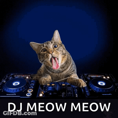 Cat Laying On DJ Mixer With Pizza DJ Meow Meow GIF