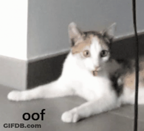 Cat Laying On Floor Next To Wall Saying Oof GIF