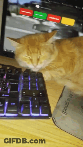 Cat Laying On Keyboard Next To All Is Good Mouse Pad GIF