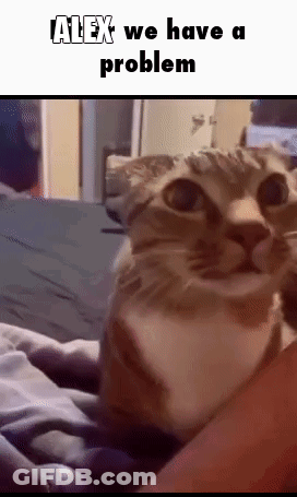 Cat Laying On Lap Looking At Camera Saying Alex We Have A Problem GIF